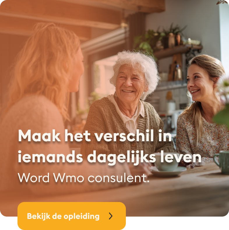 WMO consulent prinsjesdag 2025